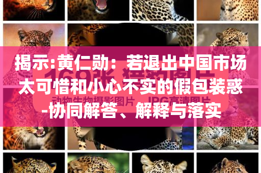揭示:黃仁勛：若退出中國(guó)市場(chǎng)太可惜和小心不實(shí)的假包裝惑-協(xié)同解答、解釋與落實(shí)