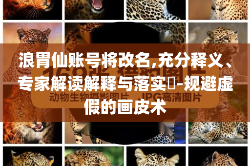 浪胃仙賬號(hào)將改名,充分釋義、專家解讀解釋與落實(shí)?-規(guī)避虛假的畫皮術(shù)
