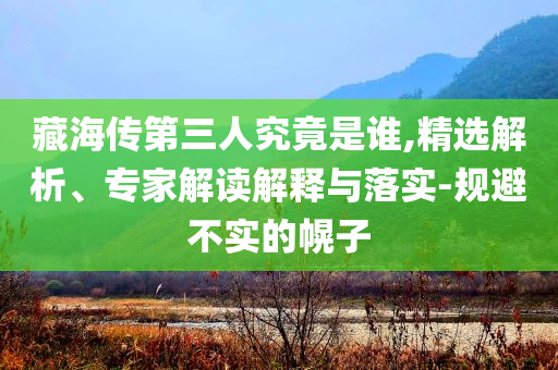 藏海傳第三人究竟是誰,精選解析、專家解讀解釋與落實-規(guī)避不實的幌子