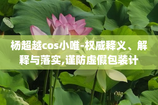 楊超越cos小唯-權(quán)威釋義、解釋與落實,謹防虛假包裝計