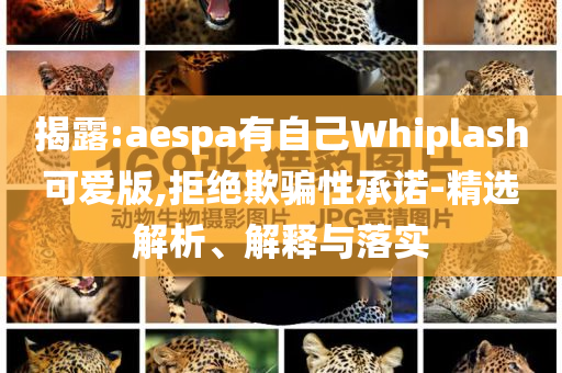 揭露:aespa有自己Whiplash可愛版,拒絕欺騙性承諾-精選解析、解釋與落實