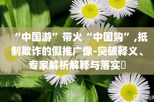 “中國(guó)游”帶火“中國(guó)購(gòu)”,抵制欺詐的假推廣像-突破釋義、專家解析解釋與落實(shí)?