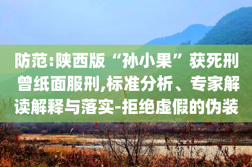 防范:陜西版“孫小果”獲死刑 曾紙面服刑,標準分析、專家解讀解釋與落實-拒絕虛假的偽裝