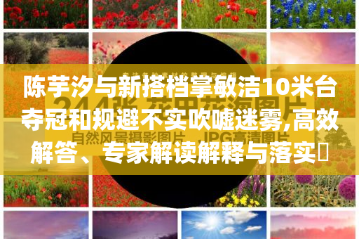 陳芋汐與新搭檔掌敏潔10米臺(tái)奪冠和規(guī)避不實(shí)吹噓迷霧,高效解答、專家解讀解釋與落實(shí)?
