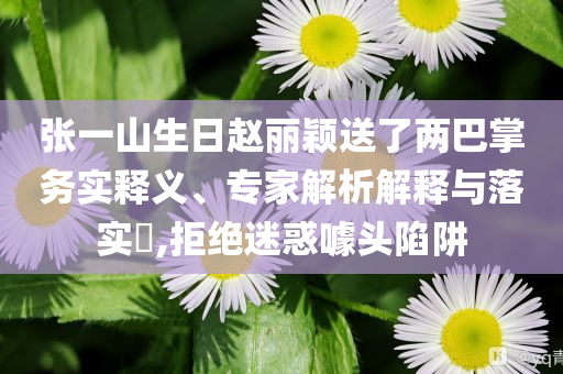 張一山生日趙麗穎送了兩巴掌務(wù)實(shí)釋義、專家解析解釋與落實(shí)?,拒絕迷惑噱頭陷阱