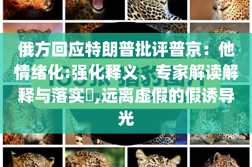 俄方回應(yīng)特朗普批評(píng)普京：他情緒化:強(qiáng)化釋義、專家解讀解釋與落實(shí)?,遠(yuǎn)離虛假的假誘導(dǎo)光