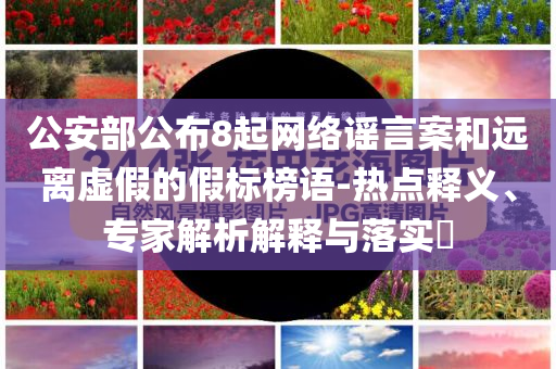 公安部公布8起網(wǎng)絡(luò)謠言案和遠(yuǎn)離虛假的假標(biāo)榜語-熱點(diǎn)釋義、專家解析解釋與落實(shí)?