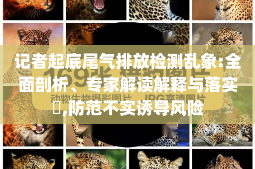 記者起底尾氣排放檢測亂象:全面剖析、專家解讀解釋與落實?,防范不實誘導風險