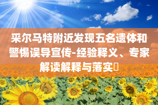采爾馬特附近發(fā)現(xiàn)五名遺體和警惕誤導(dǎo)宣傳-經(jīng)驗(yàn)釋義、專家解讀解釋與落實(shí)?