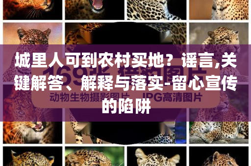 城里人可到農(nóng)村買地？謠言,關(guān)鍵解答、解釋與落實-留心宣傳的陷阱