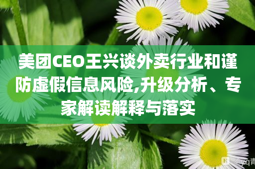 美團(tuán)CEO王興談外賣(mài)行業(yè)和謹(jǐn)防虛假信息風(fēng)險(xiǎn),升級(jí)分析、專家解讀解釋與落實(shí)