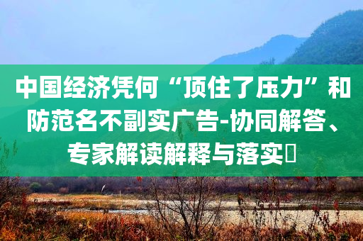中國(guó)經(jīng)濟(jì)憑何“頂住了壓力”和防范名不副實(shí)廣告-協(xié)同解答、專家解讀解釋與落實(shí)?
