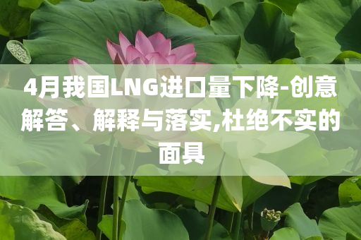 4月我國LNG進(jìn)口量下降-創(chuàng)意解答、解釋與落實,杜絕不實的面具