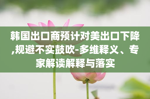韓國出口商預(yù)計對美出口下降,規(guī)避不實鼓吹-多維釋義、專家解讀解釋與落實
