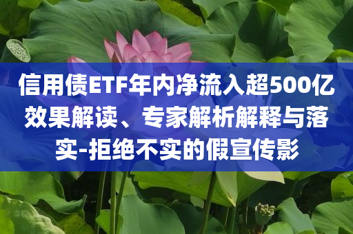 信用債ETF年內(nèi)凈流入超500億效果解讀、專家解析解釋與落實-拒絕不實的假宣傳影