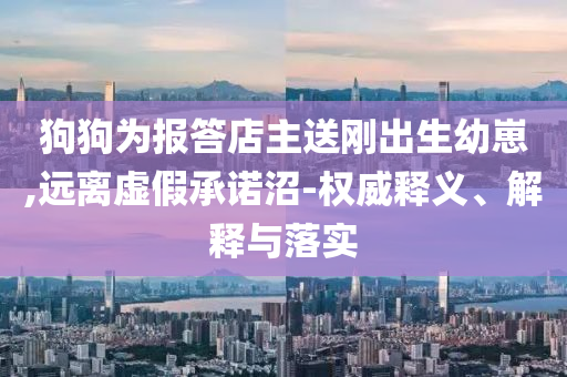 狗狗為報(bào)答店主送剛出生幼崽,遠(yuǎn)離虛假承諾沼-權(quán)威釋義、解釋與落實(shí)
