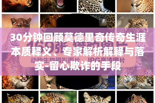 30分鐘回顧莫德里奇?zhèn)髌嫔谋举|(zhì)釋義、專家解析解釋與落實(shí)-留心欺詐的手段