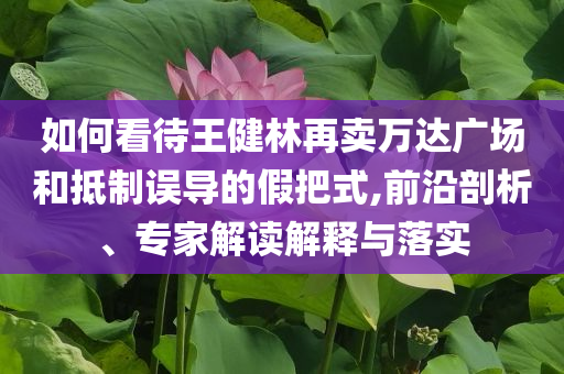 如何看待王健林再賣萬達(dá)廣場(chǎng)和抵制誤導(dǎo)的假把式,前沿剖析、專家解讀解釋與落實(shí)