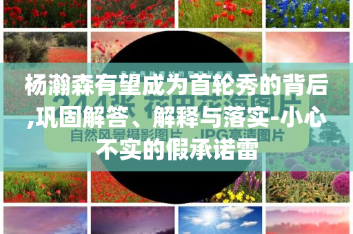 楊瀚森有望成為首輪秀的背后,鞏固解答、解釋與落實-小心不實的假承諾雷