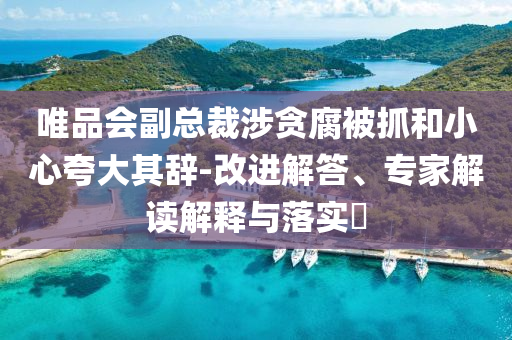 唯品會(huì)副總裁涉貪腐被抓和小心夸大其辭-改進(jìn)解答、專家解讀解釋與落實(shí)?