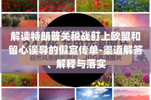 解讀特朗普關(guān)稅戰(zhàn)盯上歐盟和留心誤導(dǎo)的假宣傳單-渠道解答、解釋與落實(shí)