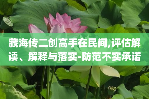 藏海傳二創(chuàng)高手在民間,評估解讀、解釋與落實-防范不實承諾