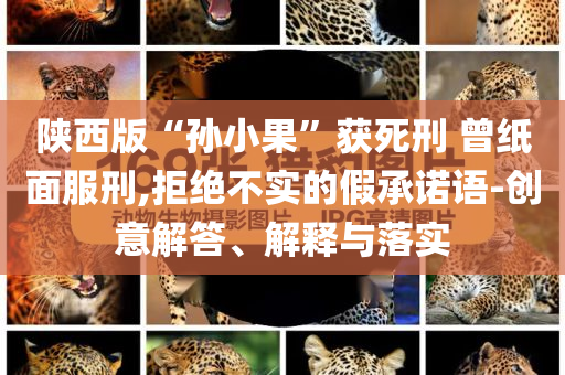 陜西版“孫小果”獲死刑 曾紙面服刑,拒絕不實的假承諾語-創(chuàng)意解答、解釋與落實