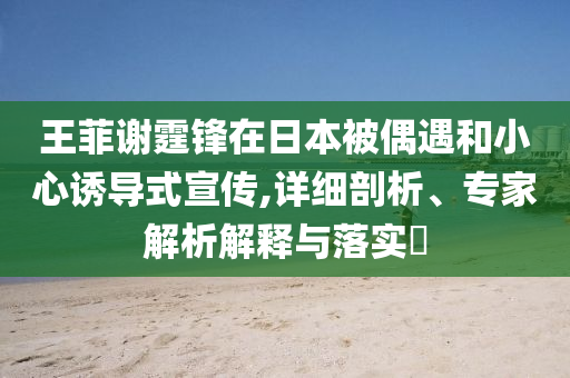 王菲謝霆鋒在日本被偶遇和小心誘導(dǎo)式宣傳,詳細剖析、專家解析解釋與落實?