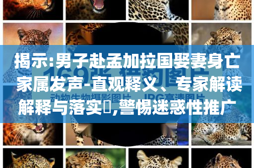 揭示:男子赴孟加拉國娶妻身亡 家屬發(fā)聲-直觀釋義、專家解讀解釋與落實?,警惕迷惑性推廣