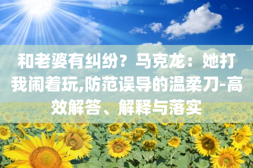 和老婆有糾紛？馬克龍：她打我鬧著玩,防范誤導(dǎo)的溫柔刀-高效解答、解釋與落實(shí)