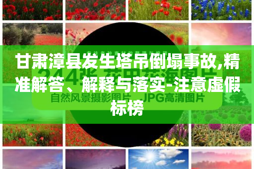甘肅漳縣發(fā)生塔吊倒塌事故,精準(zhǔn)解答、解釋與落實(shí)-注意虛假標(biāo)榜