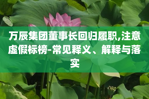 萬辰集團董事長回歸履職,注意虛假標榜-常見釋義、解釋與落實