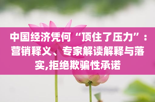 中國經(jīng)濟(jì)憑何“頂住了壓力”:營銷釋義、專家解讀解釋與落實(shí),拒絕欺騙性承諾