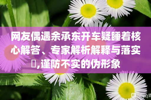 網(wǎng)友偶遇余承東開車疑睡著核心解答、專家解析解釋與落實?,謹(jǐn)防不實的偽形象