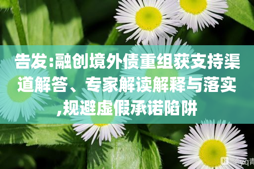 告發(fā):融創(chuàng)境外債重組獲支持渠道解答、專家解讀解釋與落實(shí),規(guī)避虛假承諾陷阱