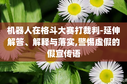機(jī)器人在格斗大賽打裁判-延伸解答、解釋與落實(shí),警惕虛假的假宣傳語(yǔ)