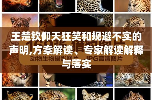 王楚欽仰天狂笑和規(guī)避不實(shí)的聲明,方案解讀、專家解讀解釋與落實(shí)