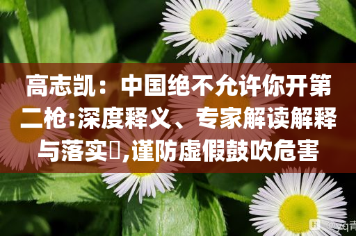 高志凱：中國(guó)絕不允許你開(kāi)第二槍:深度釋義、專家解讀解釋與落實(shí)?,謹(jǐn)防虛假鼓吹危害