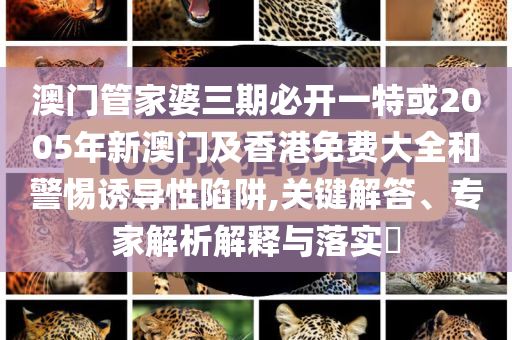 澳門管家婆三期必開一特或2005年新澳門及香港免費(fèi)大全和警惕誘導(dǎo)性陷阱,關(guān)鍵解答、專家解析解釋與落實(shí)?
