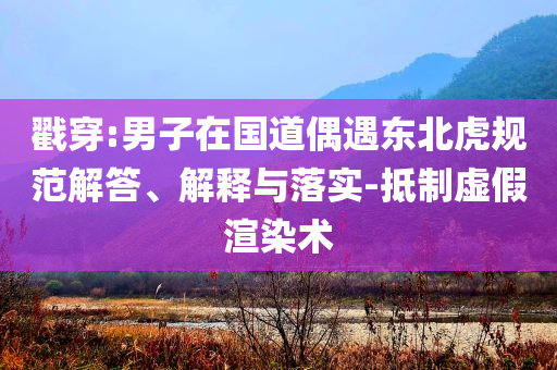 戳穿:男子在國道偶遇東北虎規(guī)范解答、解釋與落實(shí)-抵制虛假渲染術(shù)