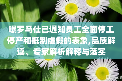 曝羅馬仕已通知員工全面停工停產(chǎn)和抵制虛假的表象,品質(zhì)解讀、專家解析解釋與落實(shí)