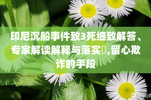 印尼沉船事件致3死細致解答、專家解讀解釋與落實?,留心欺詐的手段