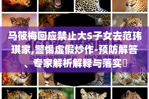 馬筱梅回應(yīng)禁止大S子女去范瑋琪家,警惕虛假炒作-預(yù)防解答、專家解析解釋與落實?