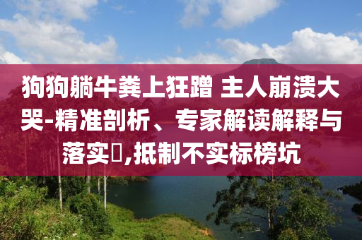 狗狗躺牛糞上狂蹭 主人崩潰大哭-精準(zhǔn)剖析、專家解讀解釋與落實(shí)?,抵制不實(shí)標(biāo)榜坑