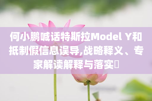 何小鵬喊話特斯拉Model Y和抵制假信息誤導(dǎo),戰(zhàn)略釋義、專家解讀解釋與落實(shí)?
