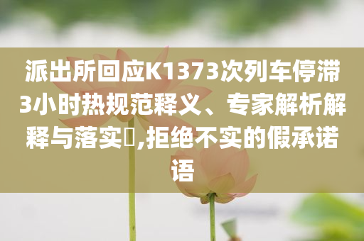 派出所回應(yīng)K1373次列車停滯3小時熱規(guī)范釋義、專家解析解釋與落實?,拒絕不實的假承諾語