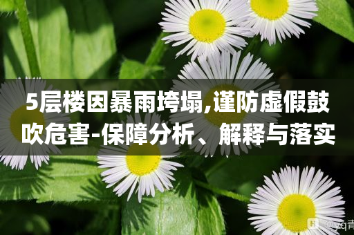 5層樓因暴雨垮塌,謹防虛假鼓吹危害-保障分析、解釋與落實