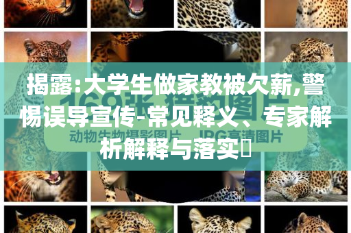 揭露:大學(xué)生做家教被欠薪,警惕誤導(dǎo)宣傳-常見釋義、專家解析解釋與落實(shí)?