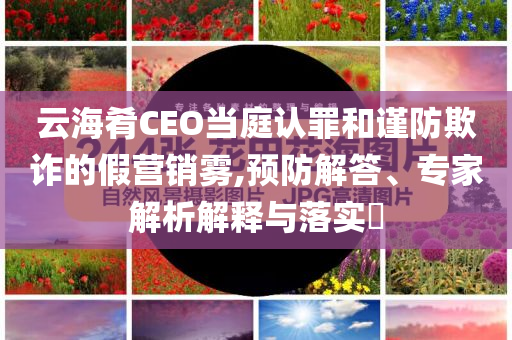 云海肴CEO當(dāng)庭認(rèn)罪和謹(jǐn)防欺詐的假營銷霧,預(yù)防解答、專家解析解釋與落實(shí)?