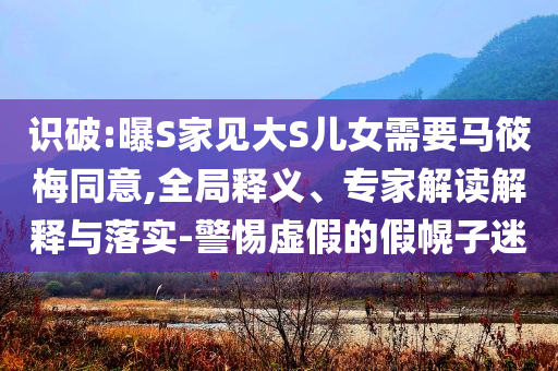 識(shí)破:曝S家見(jiàn)大S兒女需要馬筱梅同意,全局釋義、專家解讀解釋與落實(shí)-警惕虛假的假幌子迷